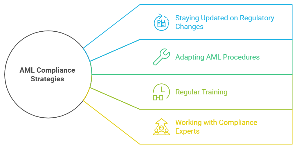 AML compliance strategies diagram with key components.