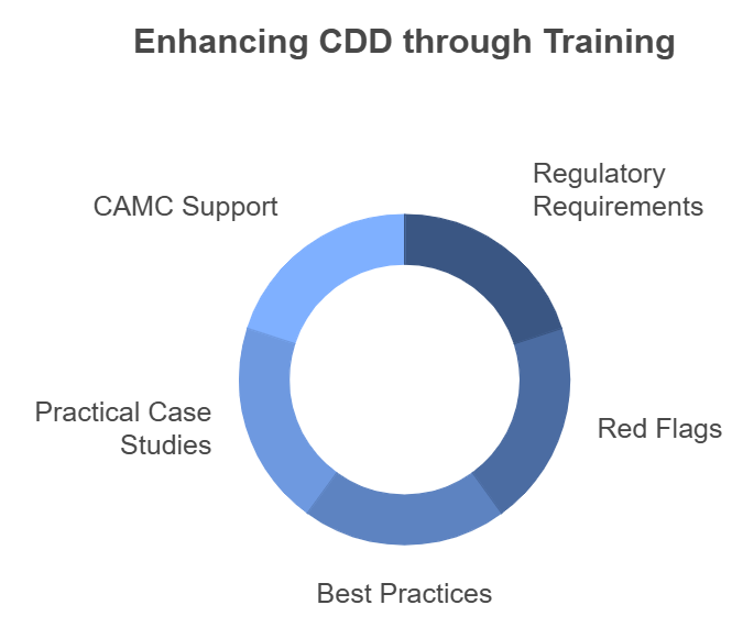 CDD training elements: support, requirements, flags, studies, practices.