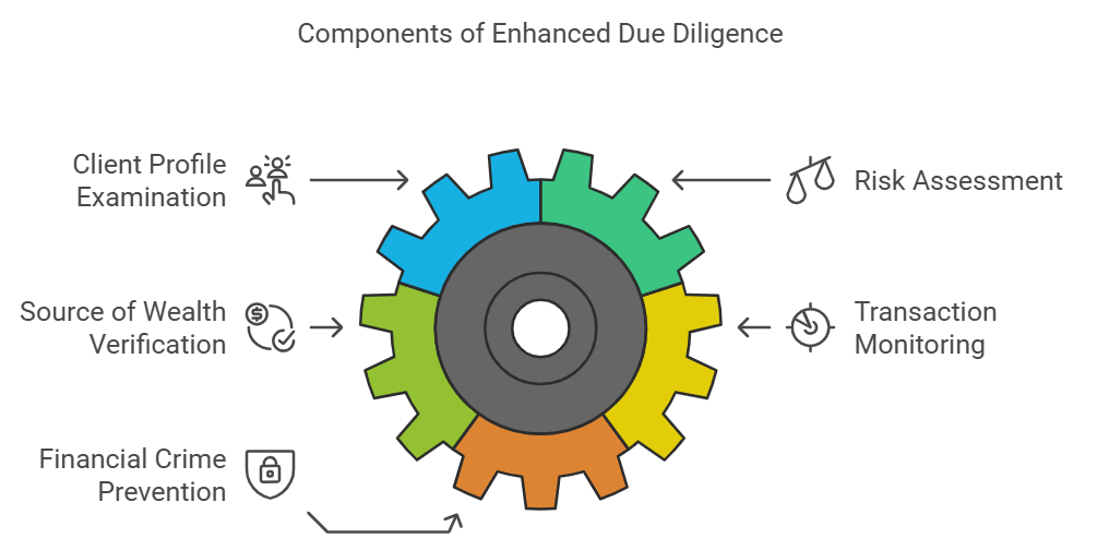 Enhanced Due Diligence components: examination, verification, prevention, monitoring.