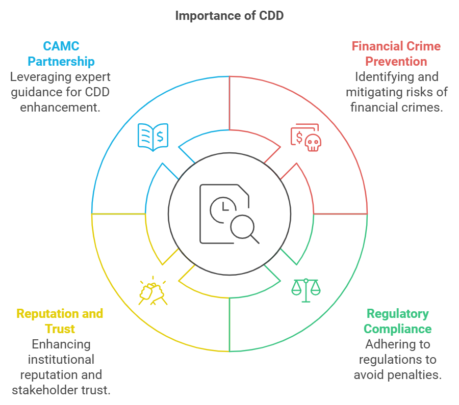 Diagram showing the importance of CDD elements.