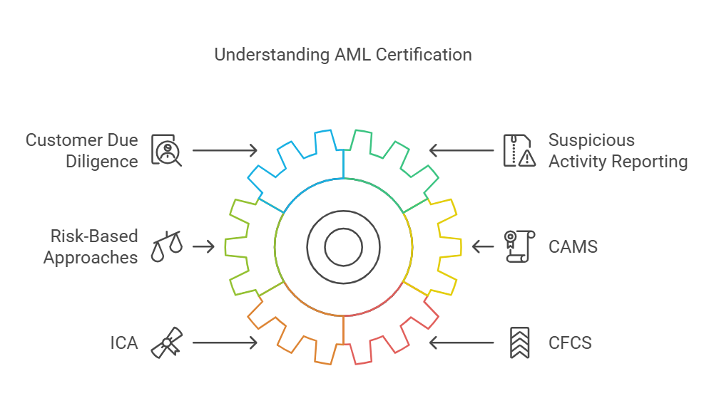 AML certification components and processes diagram